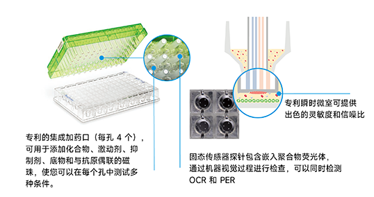 先進的實驗設計和數據分析