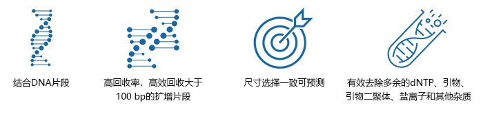 SPRI 磁珠技術(shù)