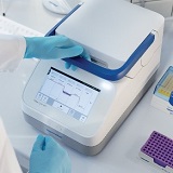 高效 RNA 反轉錄