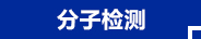 分子檢測