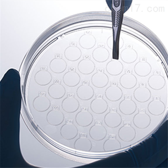 CellSLIP ® 細胞爬片培養皿