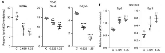 RNA-seq分析敲除Mettl14導致組蛋白修飾在全基因組范圍內發(fā)生改變,從而影響基因表達