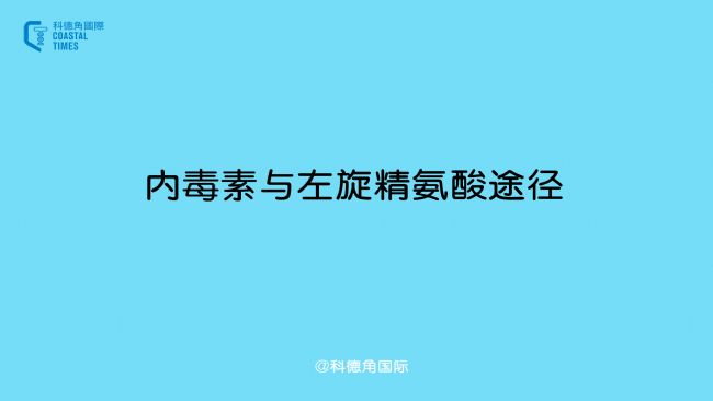 內毒素與左旋精氨酸途徑