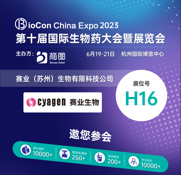 2023ʮÇHˎ