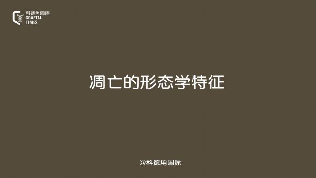 ΑBW