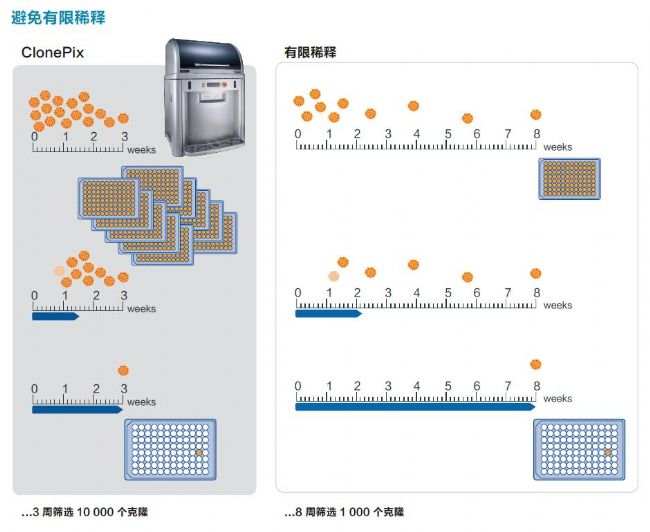 細胞克隆篩選系統