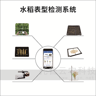 水稻表型檢測系統