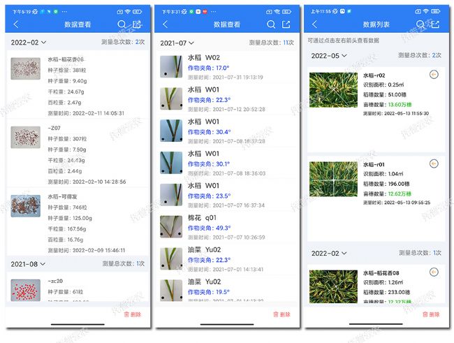 水稻表型檢測系統