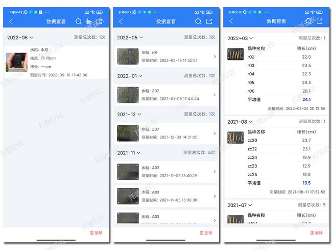 水稻表型檢測系統