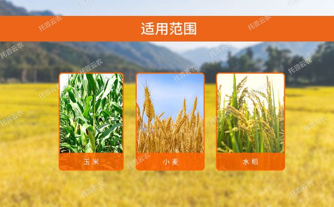 測產系統