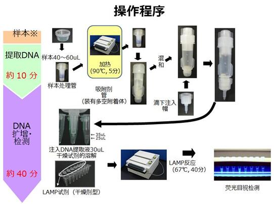lMWHOٷʽ]h錧ȜؔUTB-LAMPY˲\aƷ